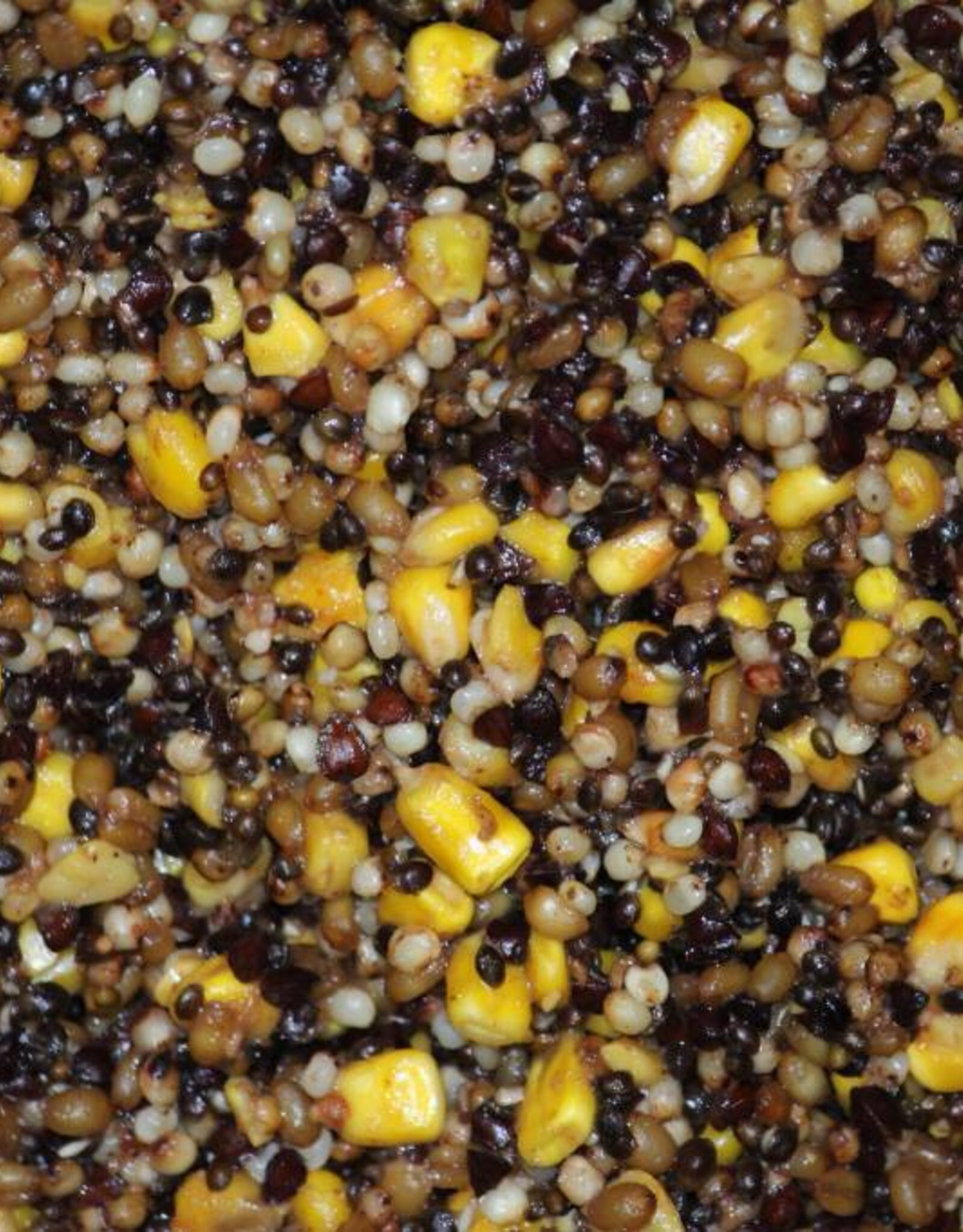 Graines  Mélange Complet